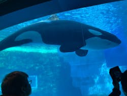 名古屋港水族館に投稿された画像(2026/1/3)