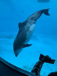 名古屋港水族館に投稿された画像(2026/1/3)
