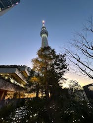 東京スカイツリーに投稿された画像(2026/1/3)