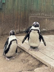 ゼロ距離水族館 伊勢シーパラダイスに投稿された画像(2026/1/3)