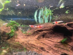 ゼロ距離水族館 伊勢シーパラダイスに投稿された画像(2026/1/3)