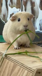 天王寺動物園に投稿された画像(2026/1/3)