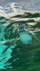 天王寺動物園に投稿された画像(2026/1/3)