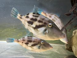 名古屋港水族館に投稿された画像(2026/1/3)