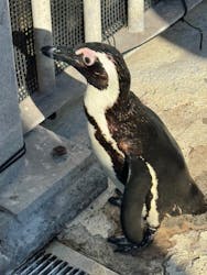 横浜・八景島シーパラダイスに投稿された画像(2026/1/3)