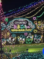 さがみ湖MORI MORIに投稿された画像(2026/1/3)