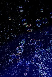 東武動物公園に投稿された画像(2026/1/4)