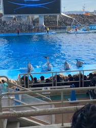 名古屋港水族館に投稿された画像(2026/1/4)