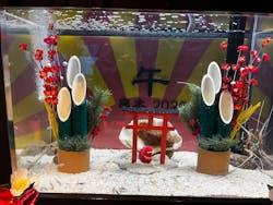 串本海中公園水族館に投稿された画像(2026/1/4)