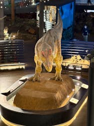 福井県立恐竜博物館に投稿された画像(2026/1/4)