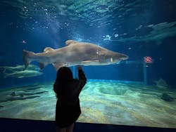 アクアワールド茨城県大洗水族館に投稿された画像(2026/1/4)