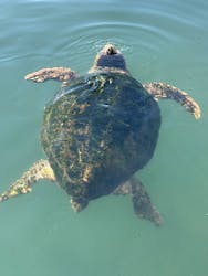 串本海中公園水族館に投稿された画像(2026/1/4)