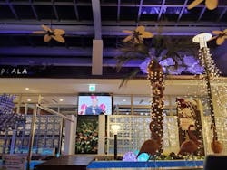 岩盤温浴リゾート ココプララに投稿された画像(2026/1/4)