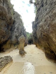 沖縄マリンアクティビティパーク備瀬崎に投稿された画像(2026/1/4)