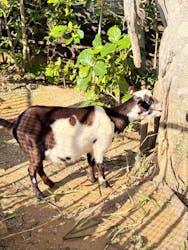 沖縄こどもの国に投稿された画像(2026/1/4)