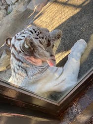 東武動物公園に投稿された画像(2026/1/4)