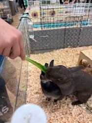 いきもの探検隊湘南に投稿された画像(2026/1/4)