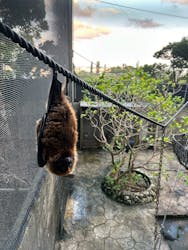 沖縄こどもの国に投稿された画像(2026/1/4)