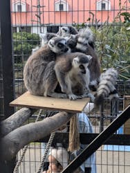 伊豆シャボテン動物公園に投稿された画像(2026/1/4)