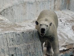 天王寺動物園に投稿された画像(2026/1/4)