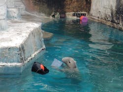 天王寺動物園に投稿された画像(2026/1/4)