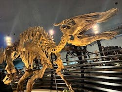 福井県立恐竜博物館に投稿された画像(2026/1/4)