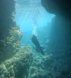 武藤潜水に投稿された画像(2026/1/5)