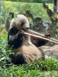 恩賜上野動物園に投稿された画像(2026/1/5)