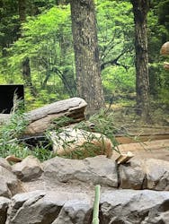 恩賜上野動物園に投稿された画像(2026/1/5)