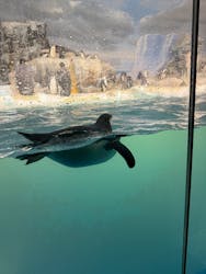 名古屋港水族館に投稿された画像(2026/1/5)
