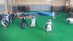 名古屋港水族館に投稿された画像(2026/1/5)