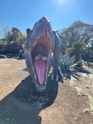 伊豆ぐらんぱる公園に投稿された画像(2026/1/5)