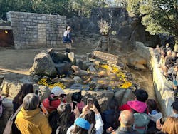 伊豆シャボテン動物公園に投稿された画像(2026/1/5)