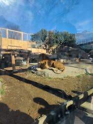 東武動物公園に投稿された画像(2026/1/5)