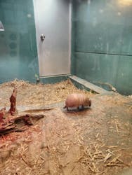 東武動物公園に投稿された画像(2026/1/5)