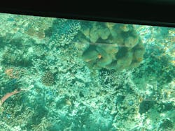 川平マリンサービスに投稿された画像(2026/1/5)