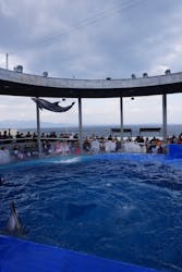 大分マリーンパレス水族館 「うみたまご」に投稿された画像(2026/1/5)