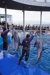 大分マリーンパレス水族館 「うみたまご」に投稿された画像(2026/1/5)