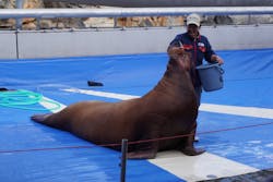 大分マリーンパレス水族館 「うみたまご」に投稿された画像(2026/1/5)