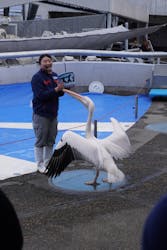 大分マリーンパレス水族館 「うみたまご」に投稿された画像(2026/1/5)