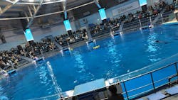 マクセル アクアパーク品川に投稿された画像(2026/1/5)