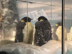 名古屋港水族館に投稿された画像(2026/1/5)