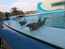 南知多ビーチランド&南知多おもちゃ王国に投稿された画像(2026/1/5)