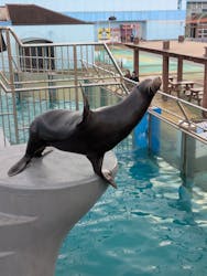 南知多ビーチランド&南知多おもちゃ王国に投稿された画像(2026/1/5)