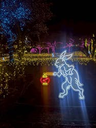 伊豆高原グランイルミに投稿された画像(2026/1/6)