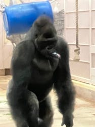 名古屋市東山動植物園に投稿された画像(2026/1/6)