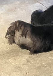 名古屋市東山動植物園に投稿された画像(2026/1/6)