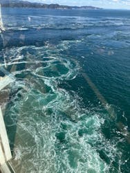 徳島県立 渦の道に投稿された画像(2026/1/6)