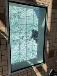 徳島県立 渦の道に投稿された画像(2026/1/6)