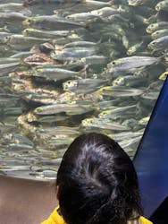 サンシャイン水族館に投稿された画像(2026/1/7)